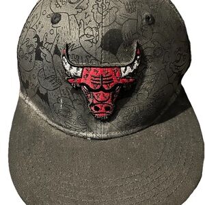 Chicago Bulls Hat Cap Artist Lauren Asta Melonwear